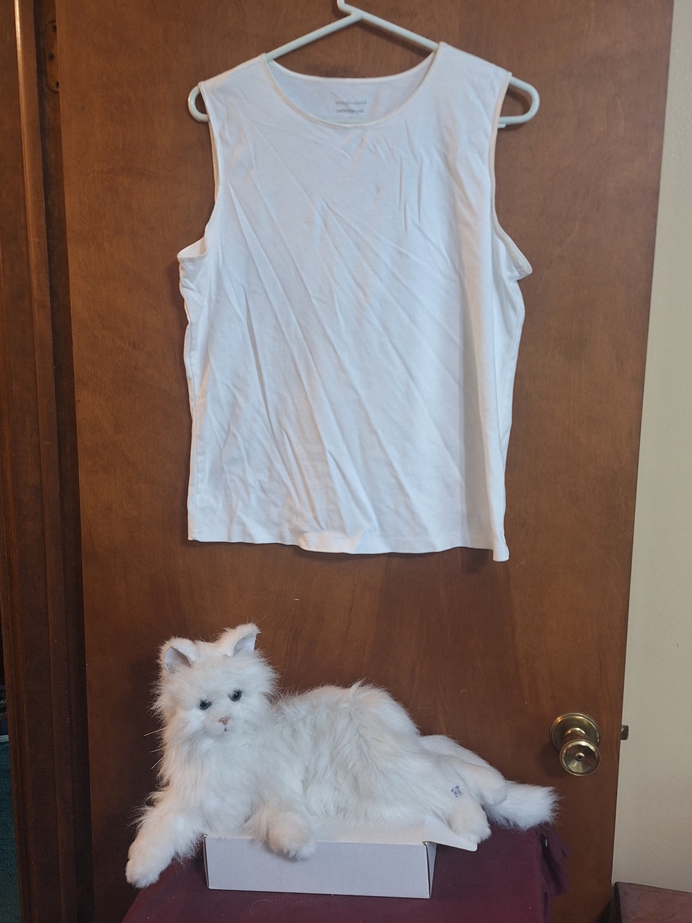 Christopher & Banks White Sleeveless Tank